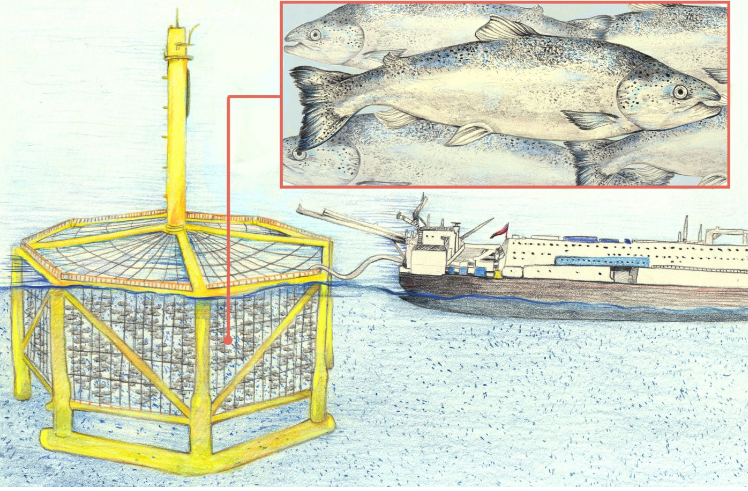 Seafood Media Group - Worldnews - China’s Offshore Fish Farming Grows ...